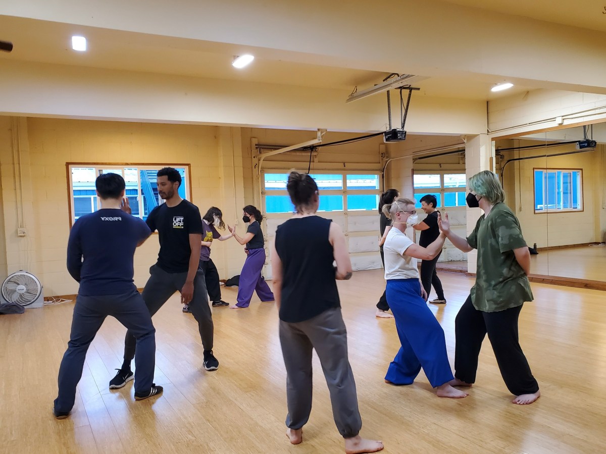 Experience Tai Chi Push Hands with World Champion Ilona Bito: Seattle  Workshop 2025 *DECEMBER&nbsp;22ND*