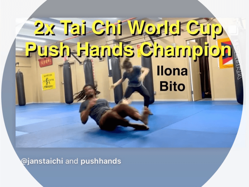 Springtime: Push Hands&nbsp;Now&nbsp;