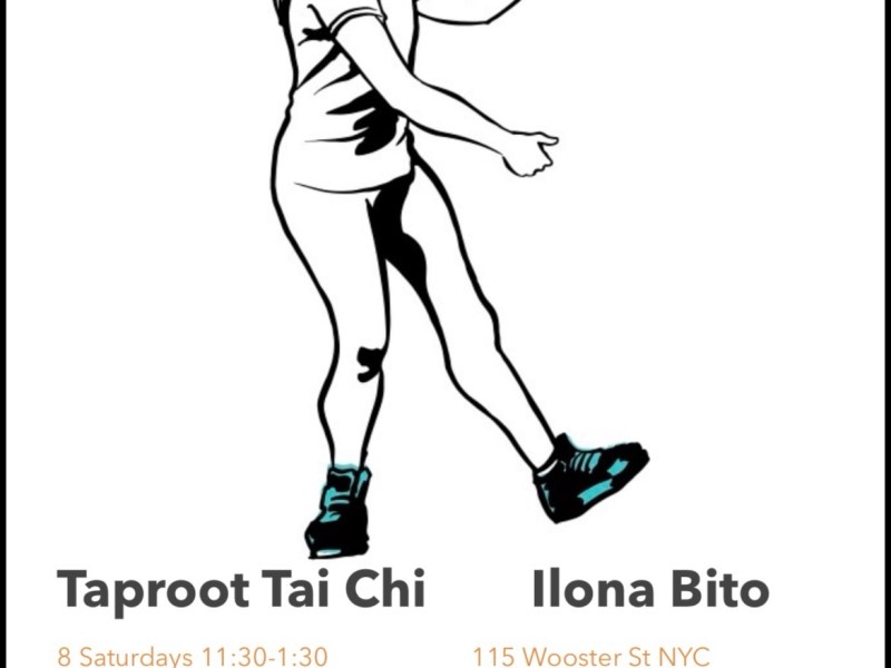 Back to School with Taproot Tai Chi Labs & Tuishou&nbsp;Time